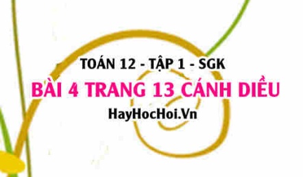 Bài 4 trang 13 Toán 12 tập 1 Cánh Diều